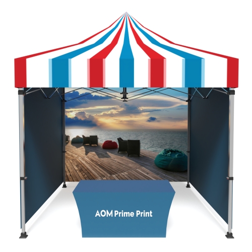 10x10 Custom Pop Up Canopy Tent Combos 12