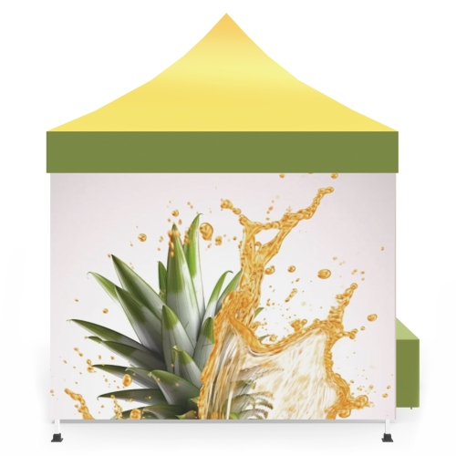 10x15 Custom Pop Up Canopy Tent Combos 13